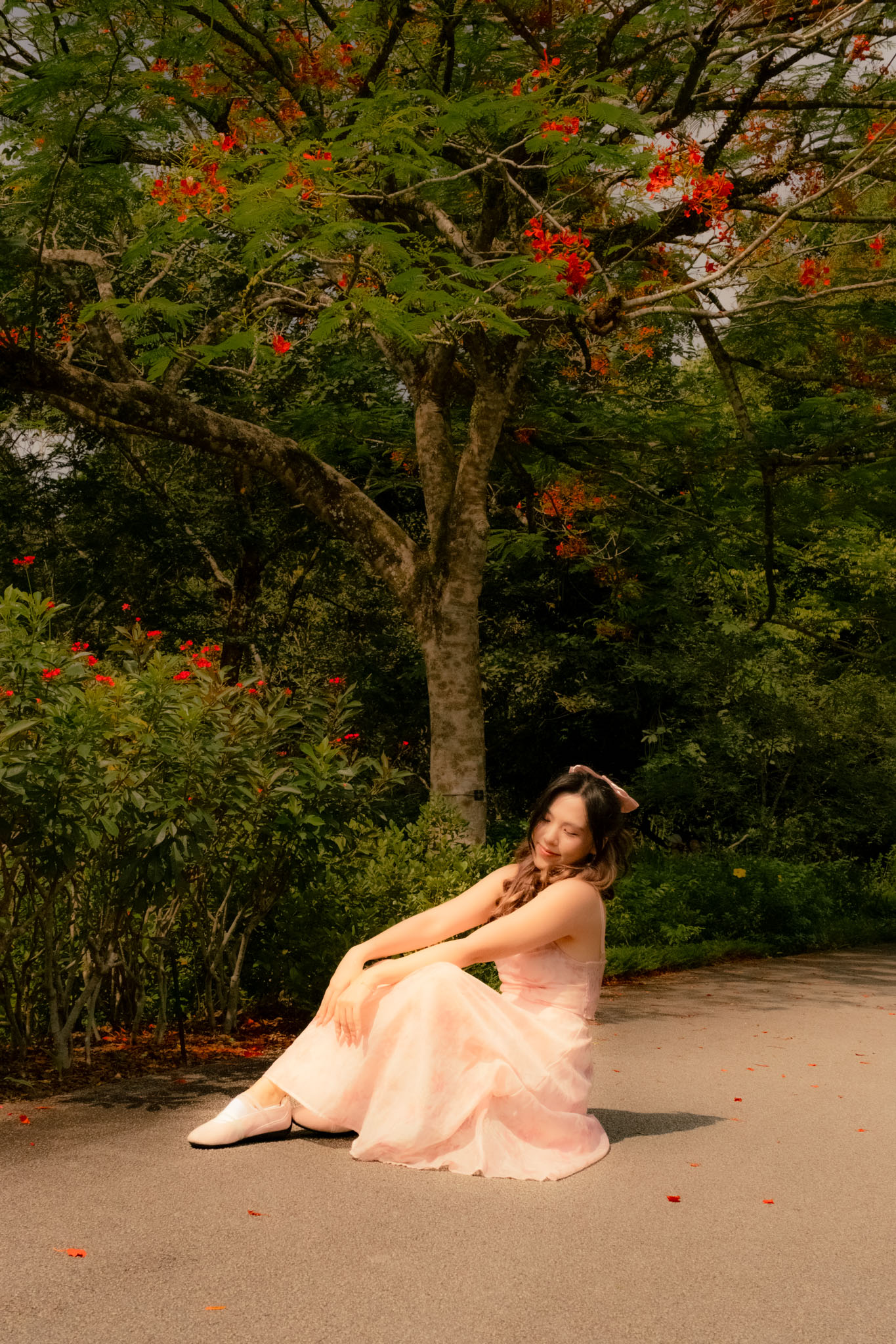 Ana's Dreamy Portraits