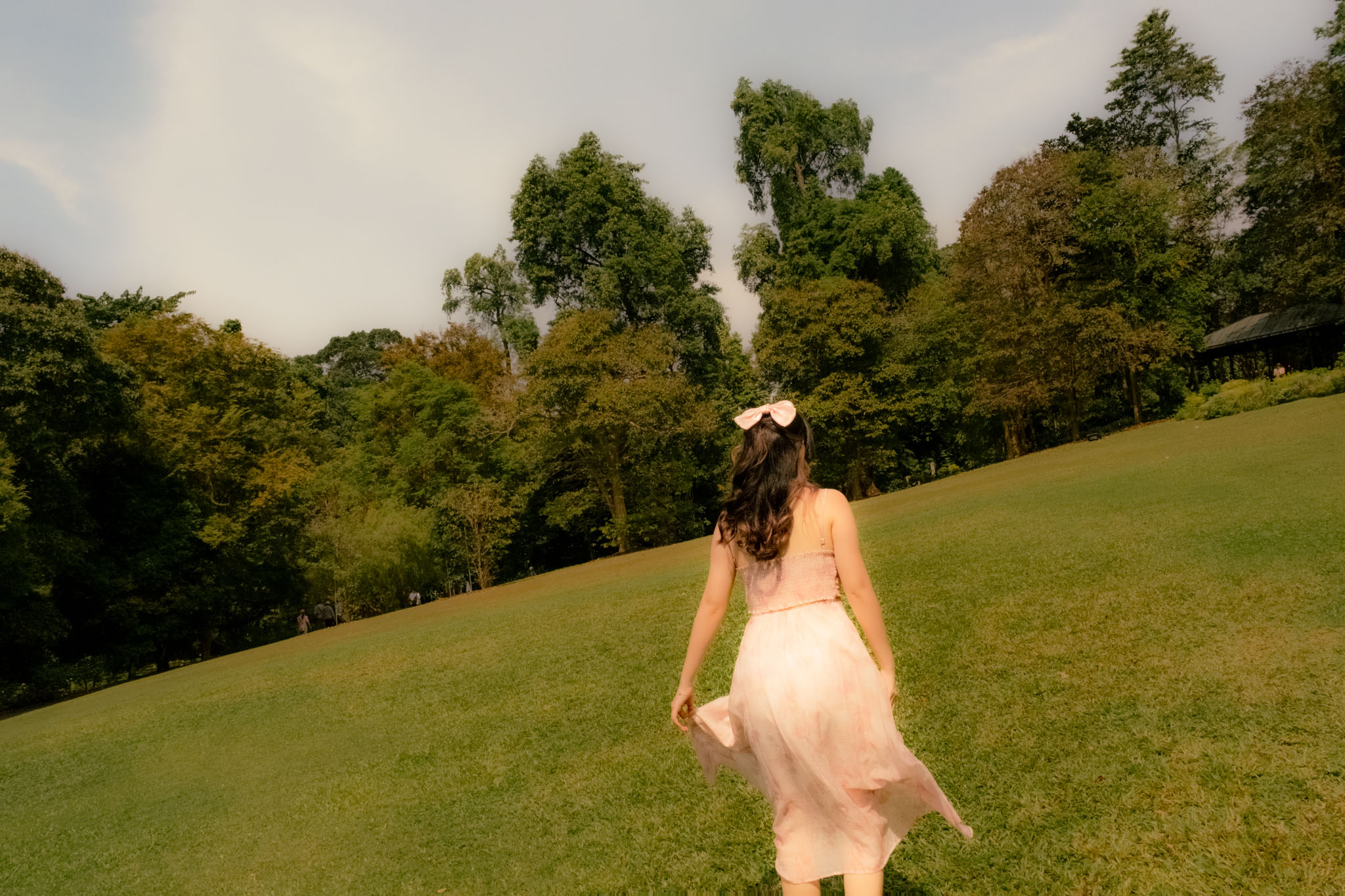 Ana's Dreamy Portraits